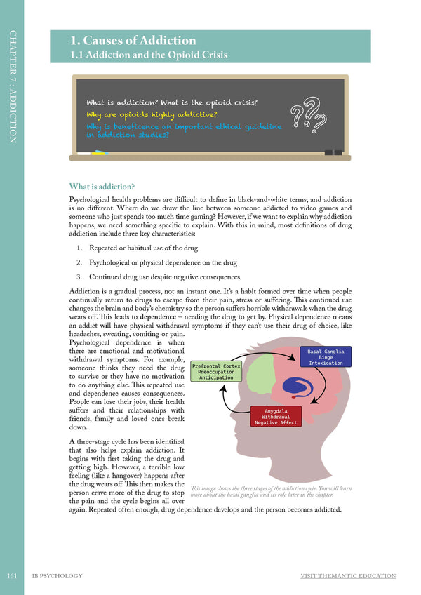 Chapter 7: Addiction - Bundle (2025 Edition) – Themantic Education